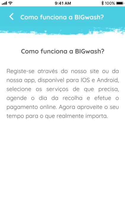 BIGwash screenshot-5