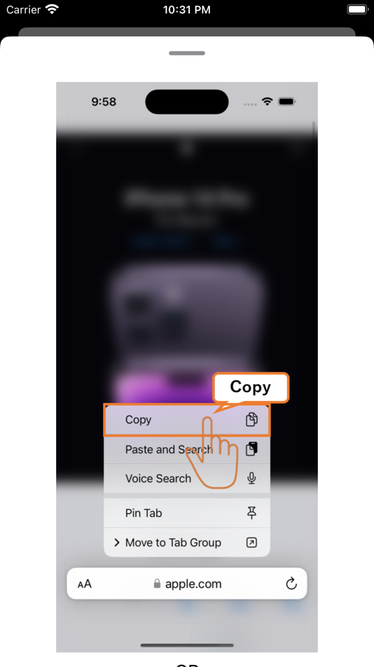 #2. BookmarkApp-PasteURL (iOS) By: Risako Asai