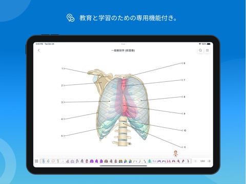 IMAIOS e-Anatomyのおすすめ画像8