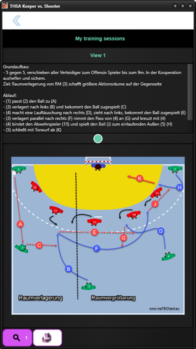 THSA-TS Handball Training Screenshot