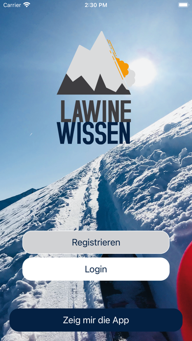 Lawine-Wissen Screenshot