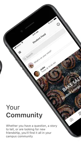 Game screenshot MICA / App hack