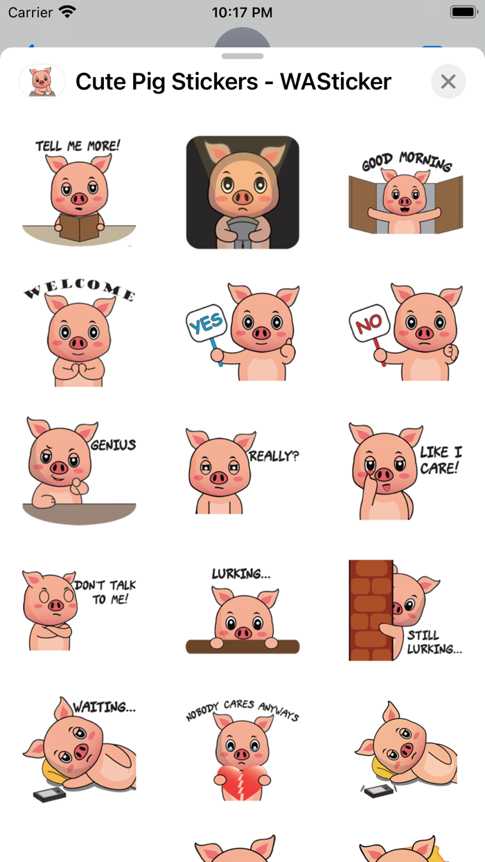 Cute Pig Stickers - WASticker