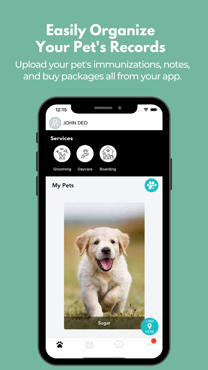 Wags and Whiskers Stay and Play