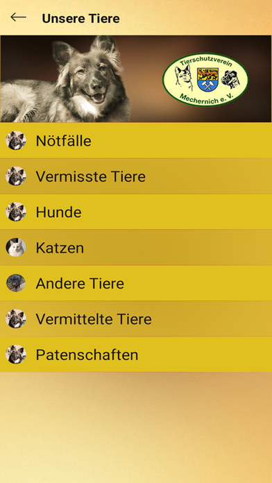 TSV Mechernich e.V. Screenshot
