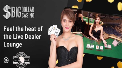 Big Dollar Online Casino Screenshot