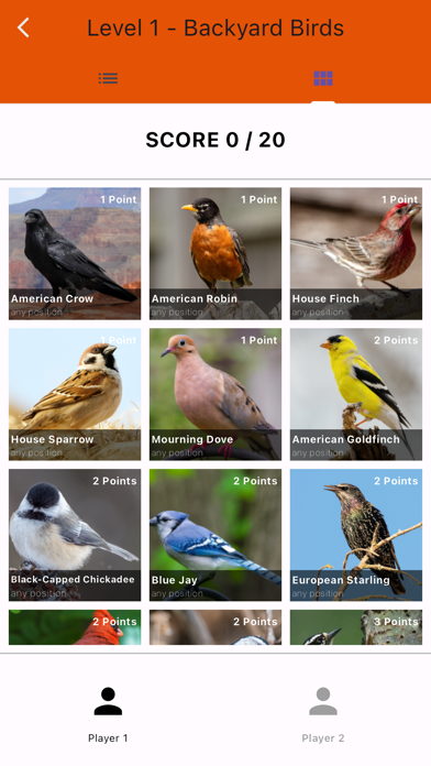BirdBingo&BirdWatching Safaris Screenshot