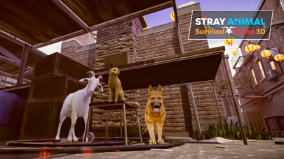 Stray Animal Survival Game 3D Screenshot