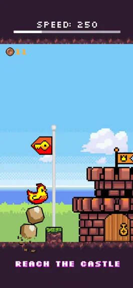 Game screenshot Bird Pixel mod apk