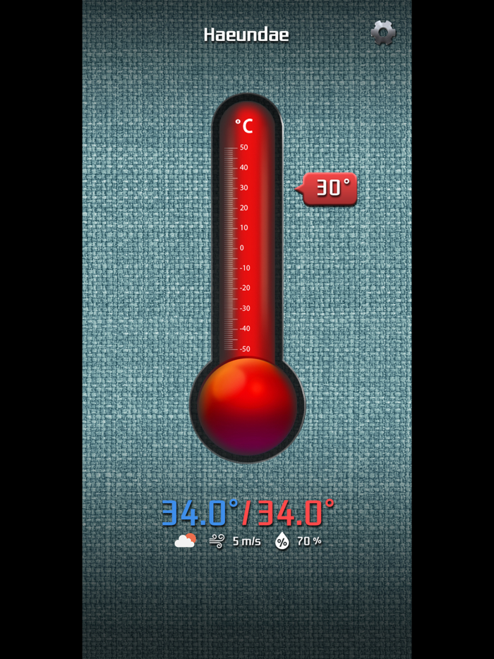 Simple Thermometer
