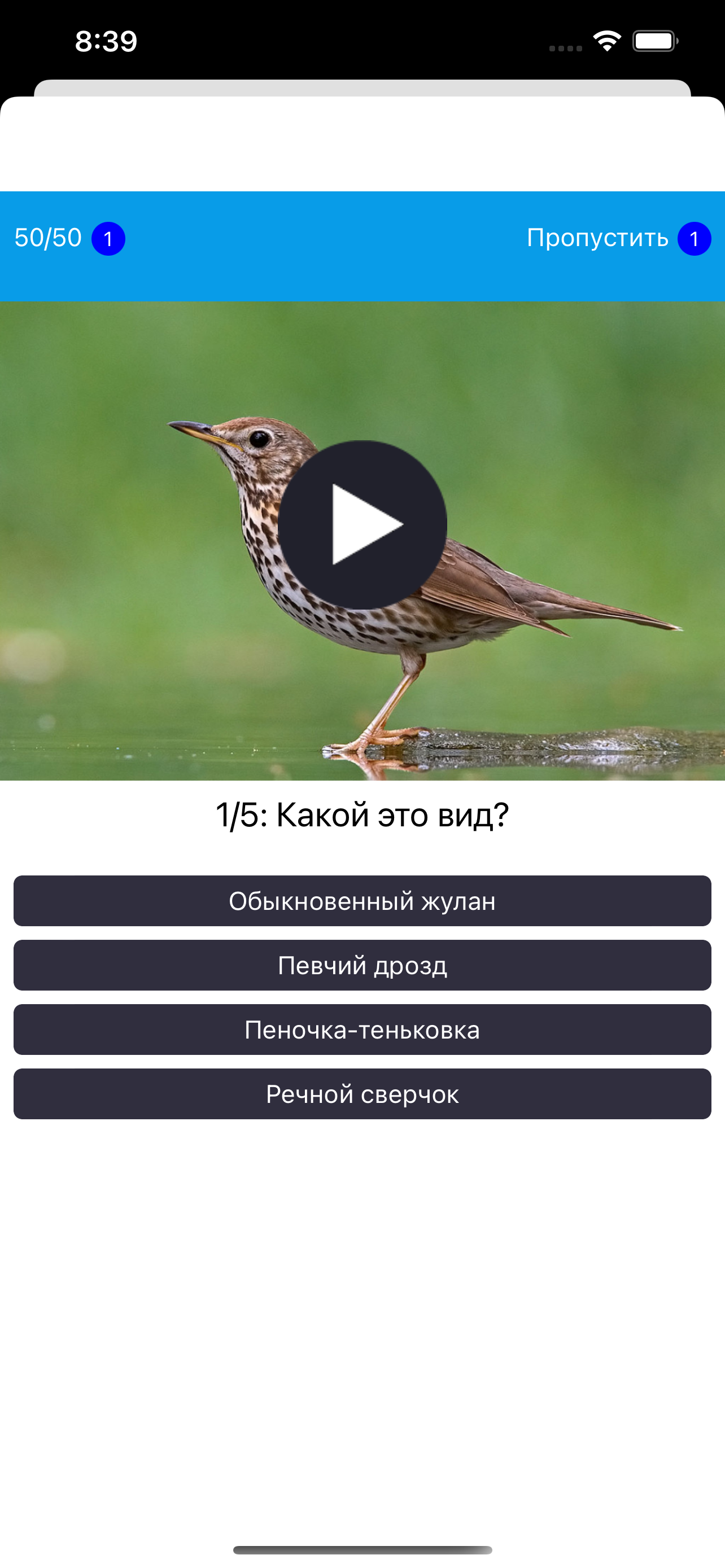 Экогид - Голоса птиц