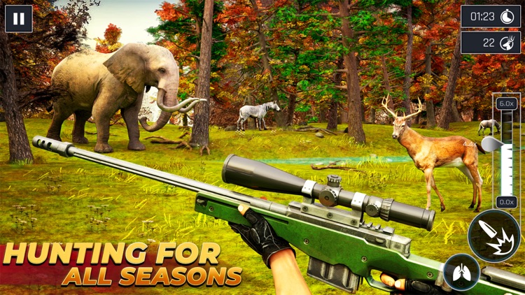 Animal Hunting: Classic Games