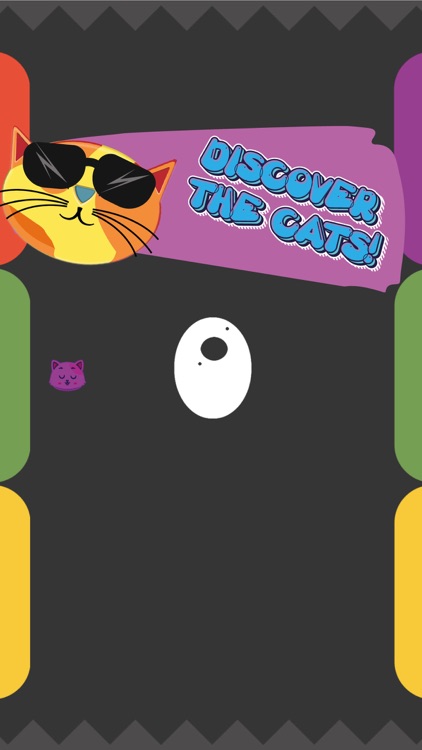 i Colorful Cats screenshot-4