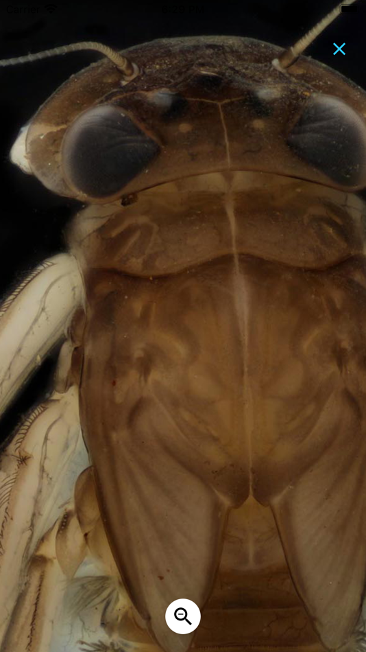 #8. PocketMacros (iOS) โดย: Marti Louw