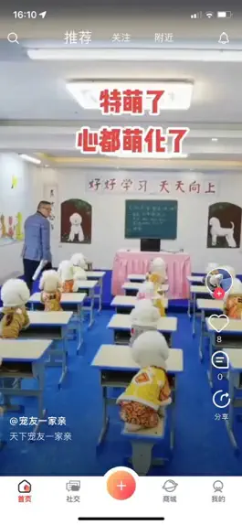 Game screenshot 宠友社交 apk