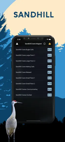 Game screenshot Sandhill Crane Magnet mod apk