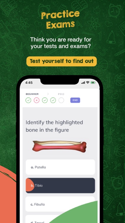 uLesson screenshot-7