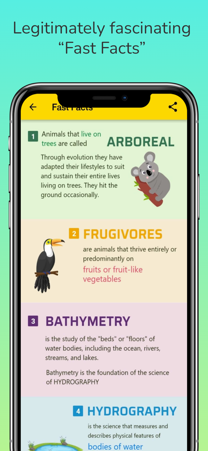 CFE - Children For Environment