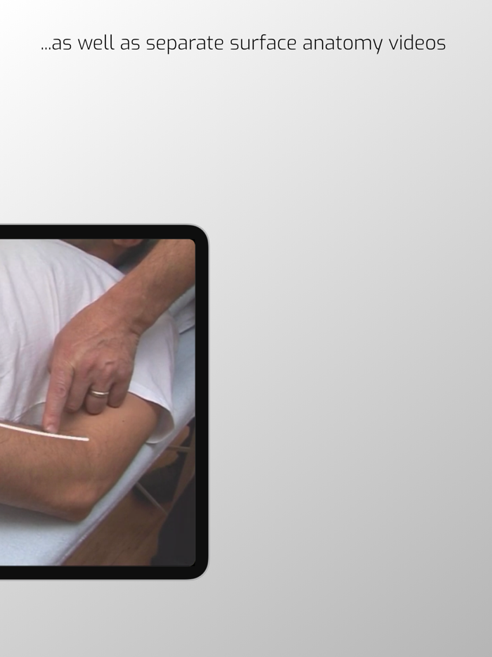 A Manual of Acupuncture