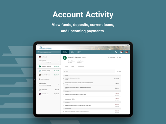 APCI eBanking iPad screenshot 7 - Finance app