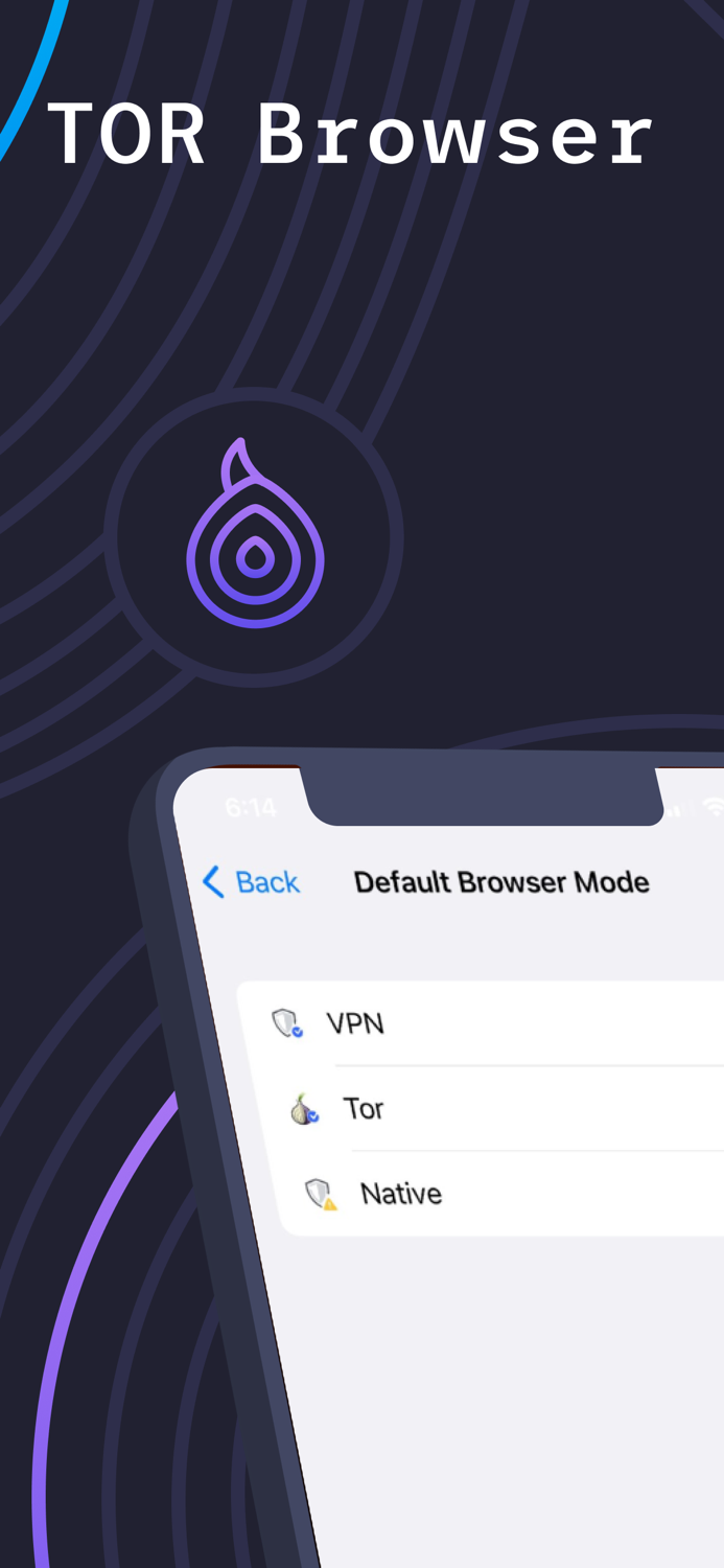 Tor Browser and VPN