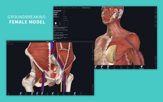 ‎Complete Anatomy 22 Screenshot