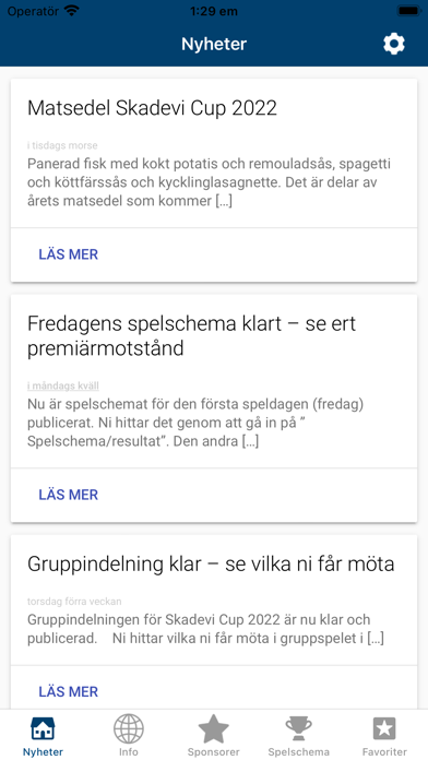 Skadevi Fotboll Screenshot