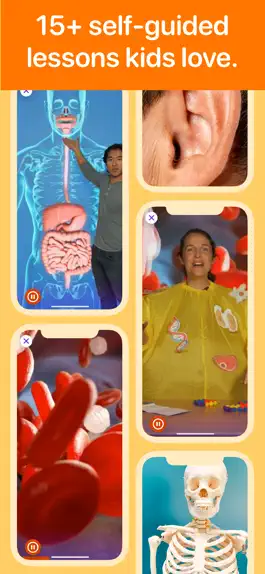 Game screenshot Human Body for Kids 2 (K-5) hack