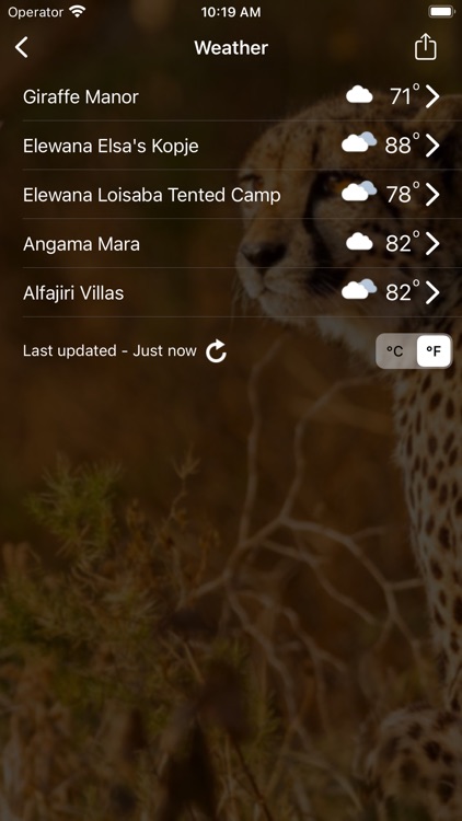 Safari Concierge screenshot-6
