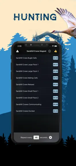 Game screenshot Sandhill Crane Magnet apk