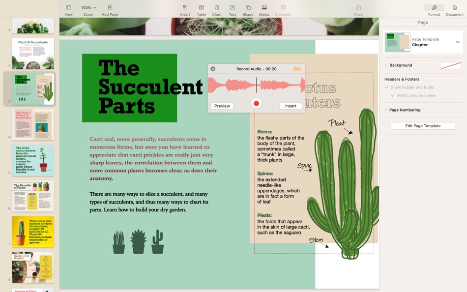 #8. Pages (macOS) Av: Apple
