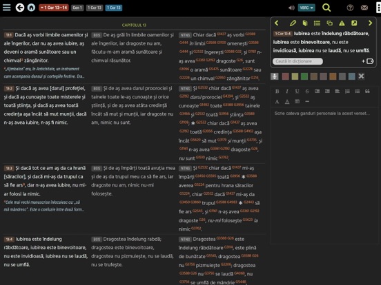 eBiblia.ro iPad screenshot 5 - Book app