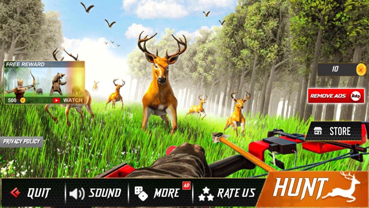 Animal Archery Hunting Games