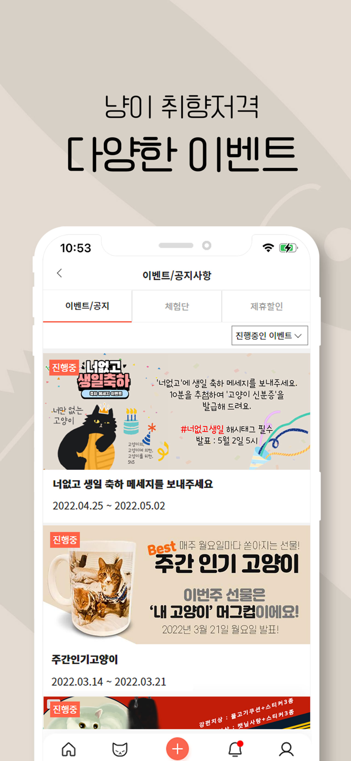 너만없는 고양이