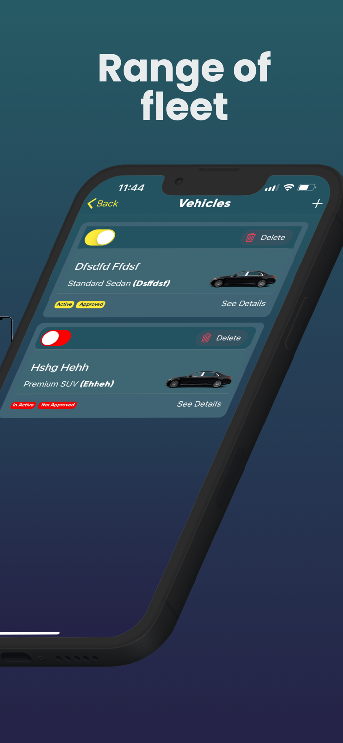 skyway Car and Limo Driver