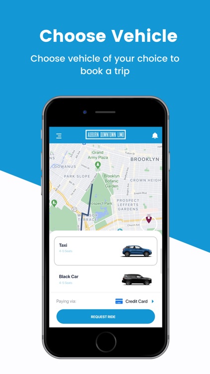 Auburn Downtown Limo