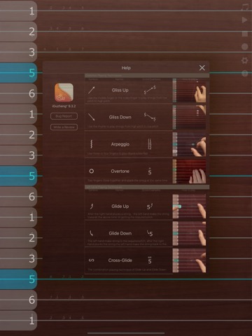 iGuzheng⁺ - Pro versionのおすすめ画像7