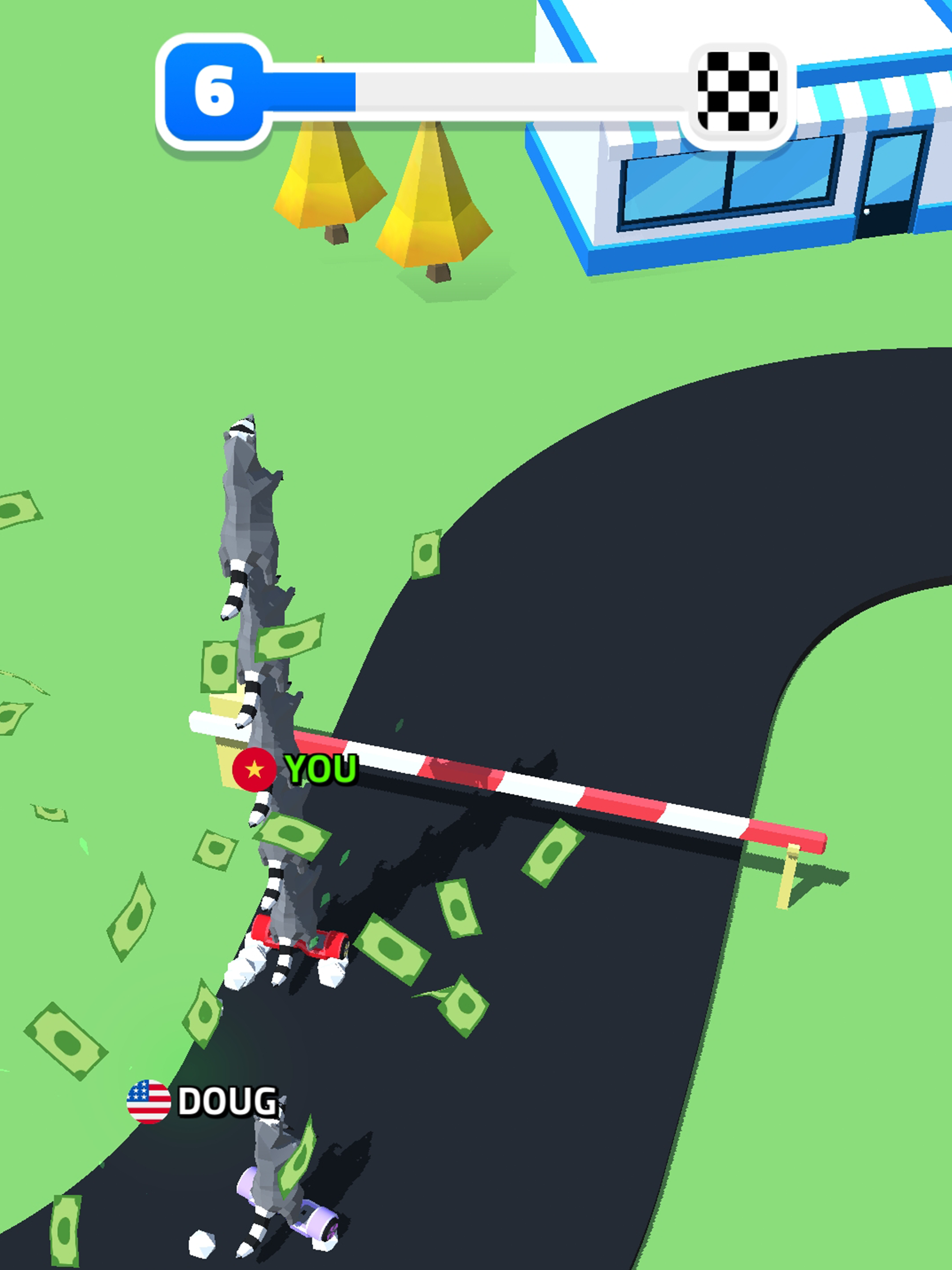 Racoon Racing 3D