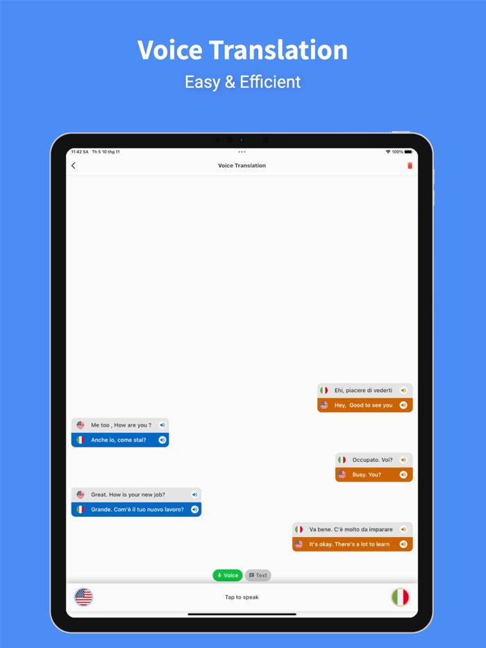 Italian - English  Translator