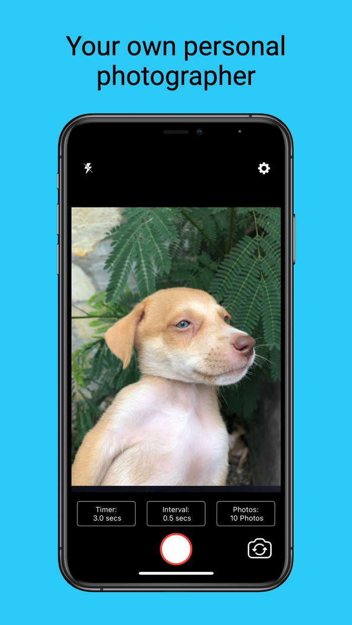 Selfier -Take handsfree photos