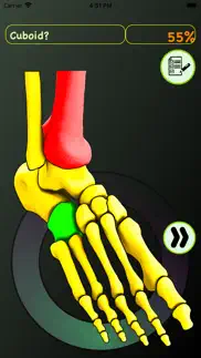 foot bones: speed anatomy quiz iphone screenshot 2