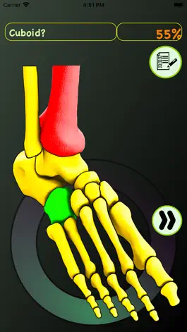 Game screenshot Foot Bones: Speed Anatomy Quiz apk
