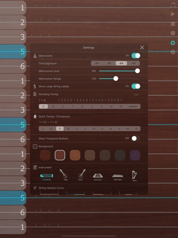 iGuzheng⁺ - Pro versionのおすすめ画像6