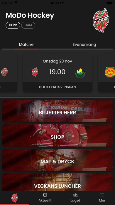MoDo Hockey Screenshot