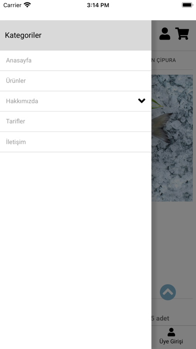 Hadi Balık Screenshot