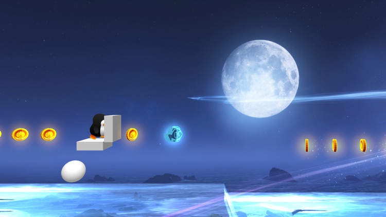 Little Penguin Adventure