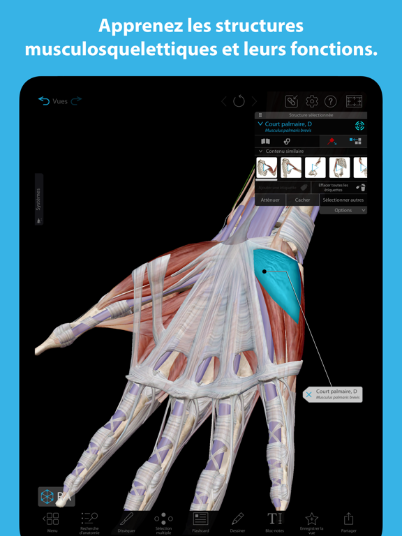 Atlas d'anatomie humaine 2023 Atlas d'anatomie humaine 2023