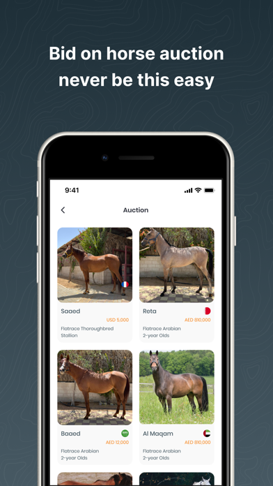 Horse Stores Screenshot