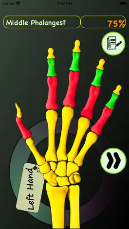 Game screenshot Hand Bones: Speed Anatomy Quiz apk