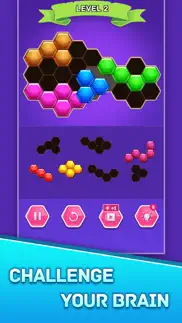 hexa block puzzle game mania iphone screenshot 2